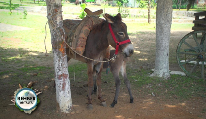  Rehber 62. Bölüm Foto Galeri