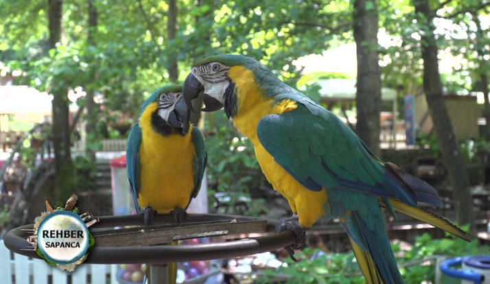 Rehber 74. Bölüm Foto Galeri