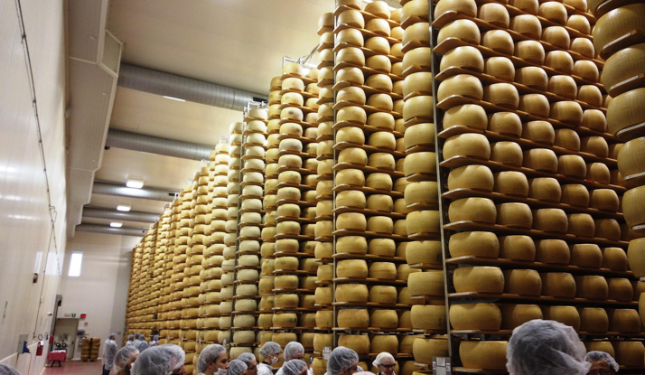 İTALYA - Bologna Foto Galeri