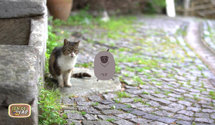 Sen de Yap 9. Bölüm Foto Galeri