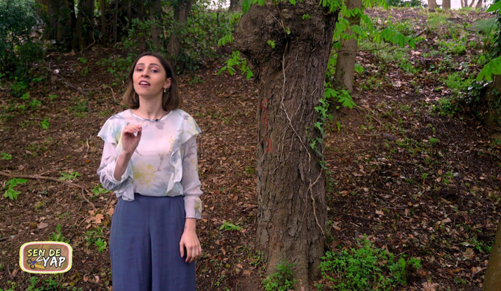 Sen de Yap 13. Bölüm Foto Galeri