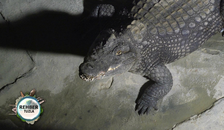 Rehber 98. Bölüm Foto Galeri