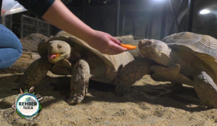 Rehber 98. Bölüm Foto Galeri