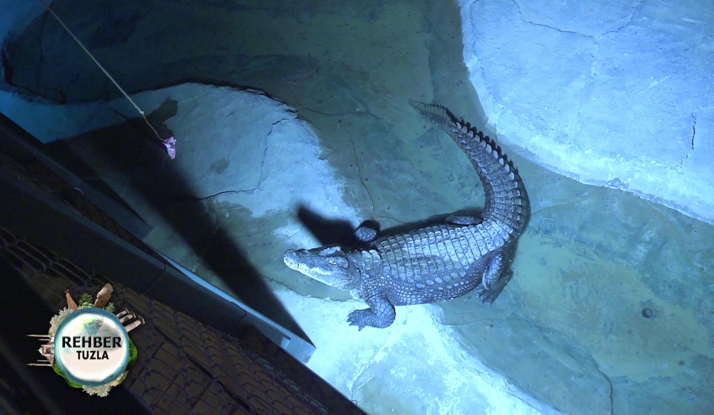 Rehber 98. Bölüm Foto Galeri