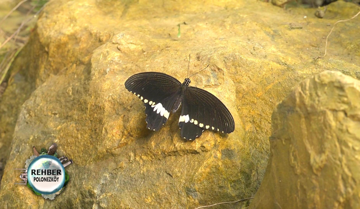  Rehber 99. Bölüm Foto Galeri 