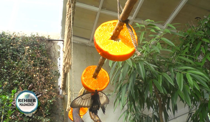  Rehber 99. Bölüm Foto Galeri 