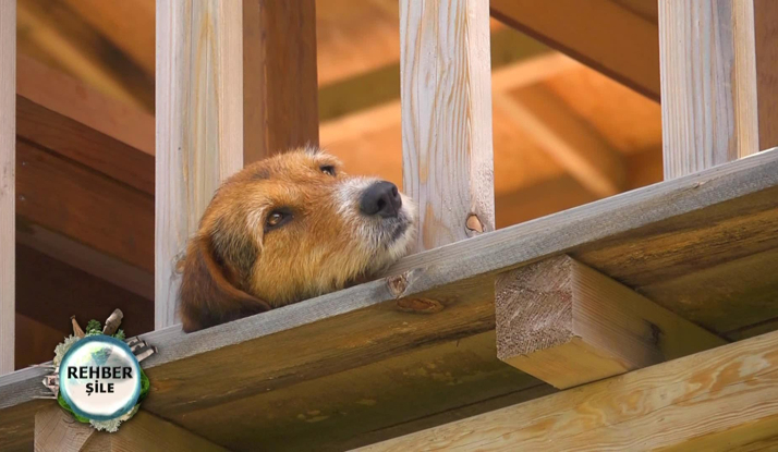  Rehber 101. Bölüm Foto Galeri