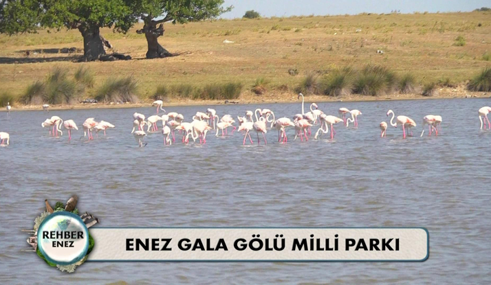  Rehber 104. Bölüm Foto Galeri