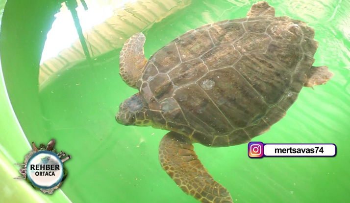  Rehber 107. Bölüm Foto Galeri