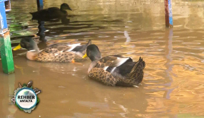  Rehber 108. Bölüm Foto Galeri