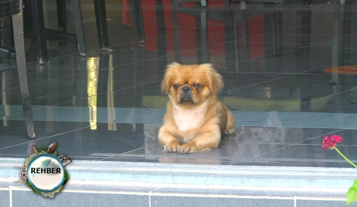  Rehber 109. Bölüm Foto Galeri