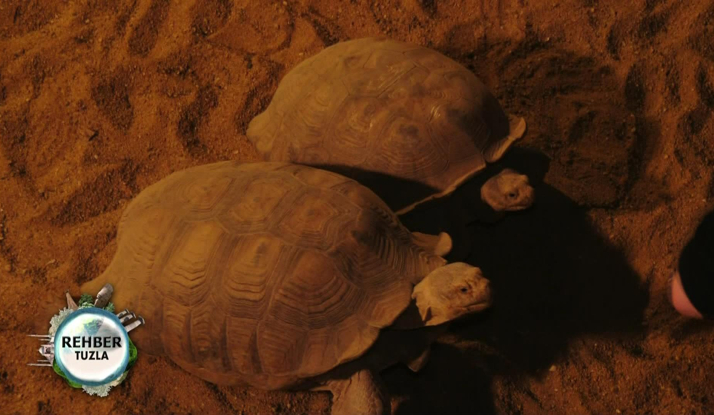  Rehber 116. Bölüm Foto Galeri