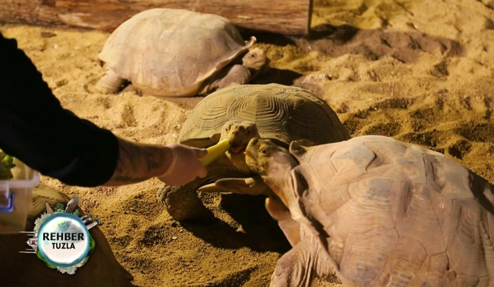  Rehber 116. Bölüm Foto Galeri