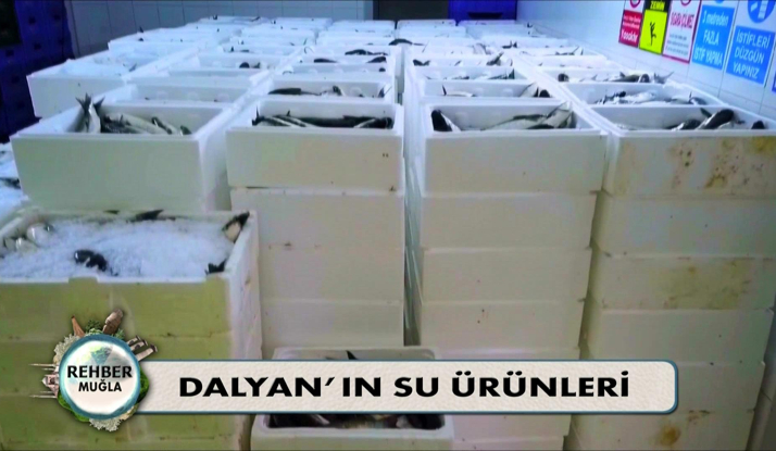 Rehber 139. Bölüm Foto Galeri