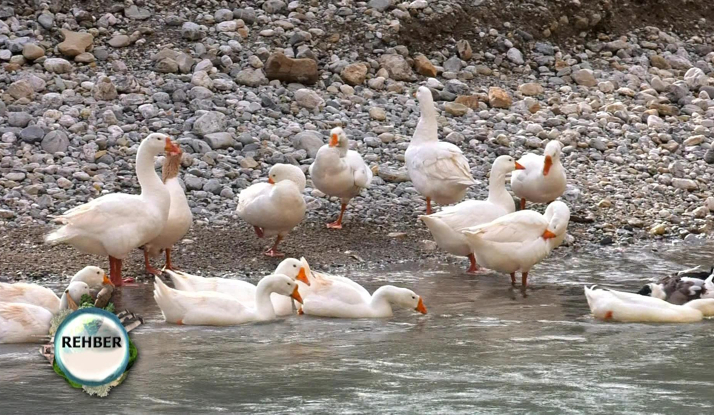 Rehber 162. Bölüm Foto Galeri