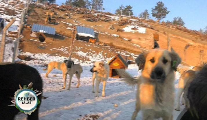 Rehber 166. Bölüm Foto Galeri