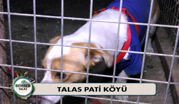 Rehber 166. Bölüm Foto Galeri