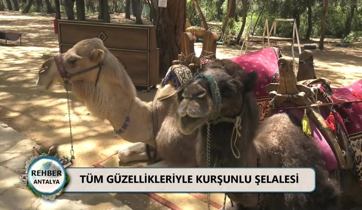 Rehber 173. Bölüm Foto Galeri