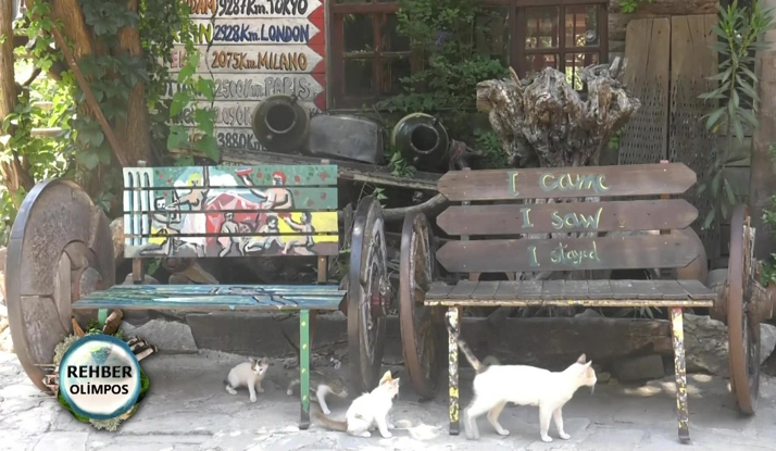 Rehber 183. Bölüm Foto Galeri