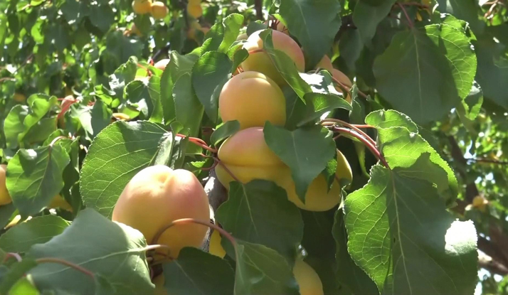 Rehber 200. Bölüm Foto Galeri