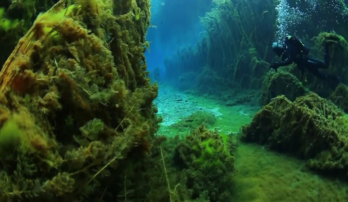 Rehber 201. Bölüm Foto Galeri