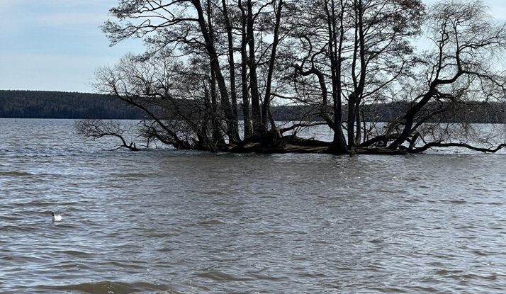 İSVEÇ - Sigtuna Foto Galeri