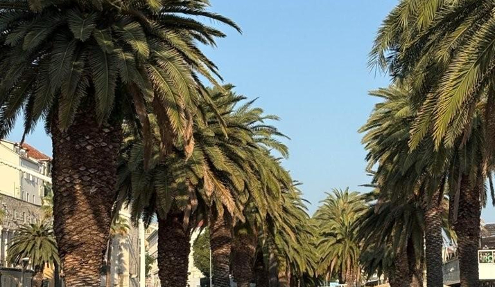 HIRVATİSTAN - Split Foto Galeri