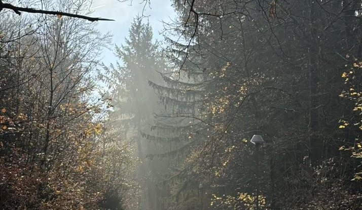 ALMANYA - Heidelberg-Wiesbaden Foto Galeri