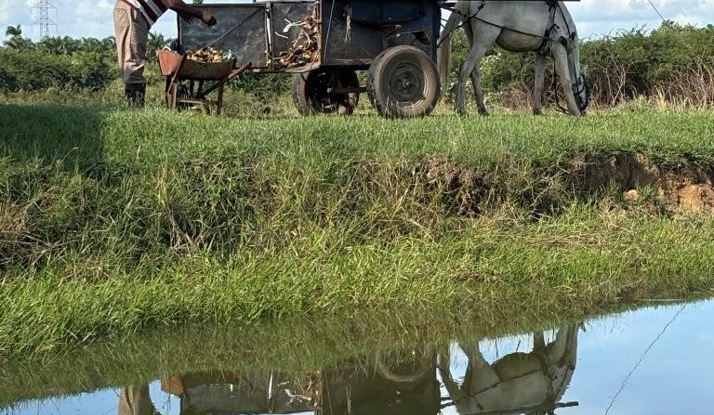 KÜBA - Havana 2. Bölüm Foto Galeri