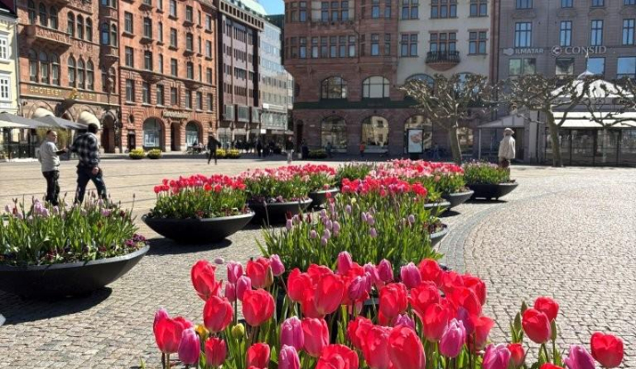 İSVEÇ - Malmö Foto Galeri