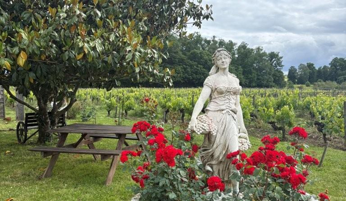 FRANSA - St.Emilion-Blaye Foto Galeri