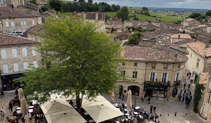 FRANSA - St.Emilion-Blaye Foto Galeri