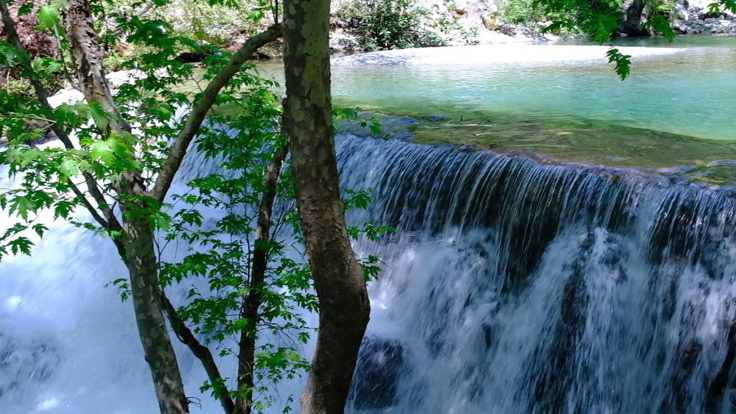 Rehber 372. Bölüm | ALANYA