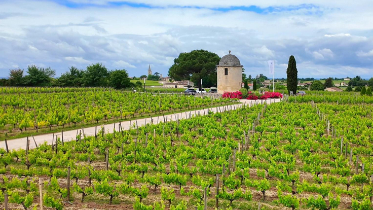 FRANSA - St.Emilion-Blaye
